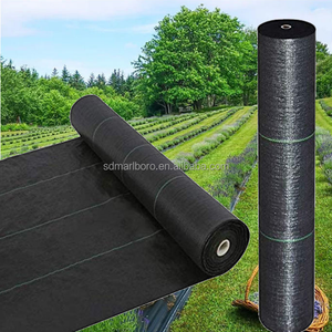 Tapis de contrôle des adventices SDM PP certifié CE, tissu à haute perméabilité à l'eau <span class=keywords><strong>pour</strong></span> la culture des fraises, des tomates, des vergers et des semis - Product Image 3