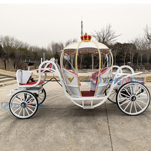 2026 Carrosse de mariage classique de luxe en acier, modèle citrouille, pour 4 à 8 personnes, blanc, pour transport spécial, à vendre - Product Image 6