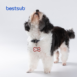 Bestsub personalizado borde negro Metal hueso en forma de grabado láser mini suministros en blanco mascota militar ID nombre Collar cadena etiqueta - Product Image 1