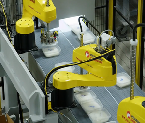 Robot Industriale Automatico <span class=keywords><strong>SCARA</strong></span> FANUC <span class=keywords><strong>M</strong></span>-1iA/0.5AL per Smistamento Rapido negli Impianti di Lavorazione Alimentare - Product Image 6