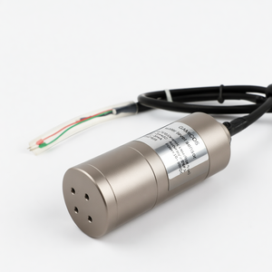 Sensor de Nivel Capacitivo de Cerámica PVDF de 4-20 mA 0-5 V para Líquidos Agresivos - Product Image 4