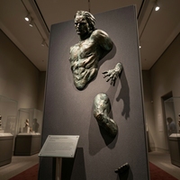 Sculpture d'art métallique, La lutte intérieure - Œuvre d'art modulaire en bronze exprimant la liberté contre le confinement, Sculpture en bronze
