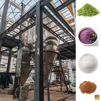 Sécheur par pulvérisation centrifuge 100 kg/h, contrôlé par PLC, entraînement par engrenages, matériau SUS316L, pour la transformation alimentaire et les poudres chimiques