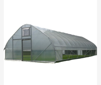 Arche gothique Serre en polycarbonate Serre en plastique pour pépinière agricole à travée unique avec système de ventilation latérale