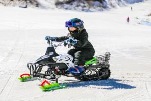 Sopop 800W/48V électrique hiver <span class=keywords><strong>luge</strong></span> neige Racer neige motoneige volant monter sur neige herbe <span class=keywords><strong>sable</strong></span> Scooter - Product Image 3