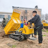 Hochwertige Mini-Raupendumper CE-Zertifiziert Chinesische Hersteller