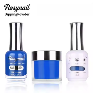 موردو المصنع مجموعة ألوان مطابقة 3in1 مجموعة ألوان منخفضة الرائحة غير سامة صبغة عالية 30 مسحوق أظافر 15 جيل طلاء أظافر بالأشعة فوق البنفسجية - Product Image 4