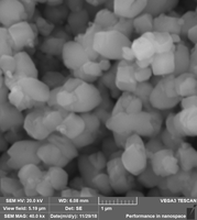 (CaCO3 50-80nm 99.9%) Nanopartículas de Carbonato de Calcio
