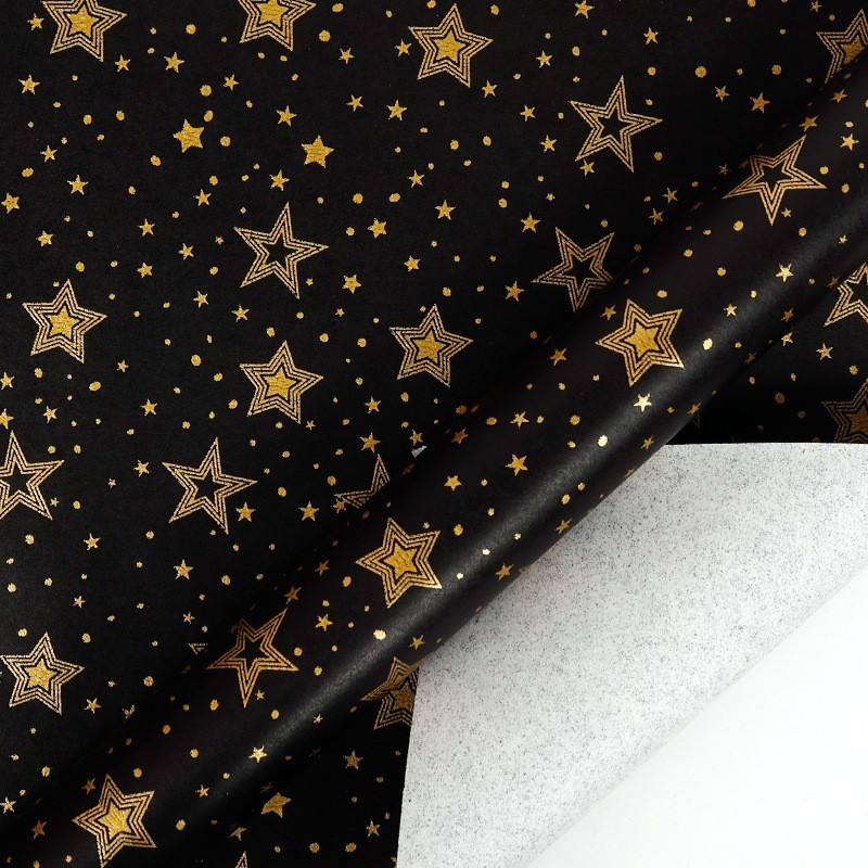 กิ่งสนและโคนสน