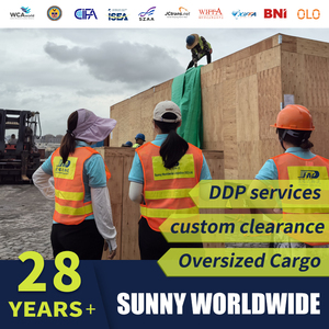 DHL/Fedex/UPS, los 10 Mejores Agentes de Transporte de Carga de China, Agente de Transporte Aéreo/Marítimo, Envíos a Estados Unidos, Malta, Australia, Brasil/Perú/Reino Unido/<span class=keywords><strong>España</strong></span>/Italia - Product Image 5