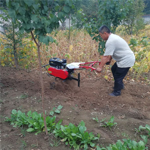 Rear Tine <b>Cultivator</b> 12 In Gasoline Engine 80 Cc For Garden Farm Use - Product Image 4