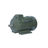 Venta CALIENTE 220/380V 50/60Hz Motores eléctricos trifásicos 0.37kw 0.55hp 4P 1440/1800RPM Motores asíncronos eléctricos monofásicos