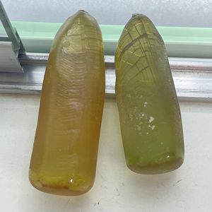 Matériau brut de spinelle non taillée, pierre de spinelle jaune pour la découpe de pierres précieuses - Product Image 5