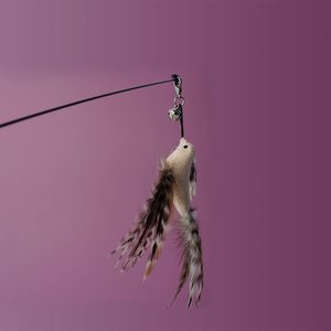 Recharges pour baguette interactive pour chat, plumes d'oiseau pour jeu d'intérieur, chasse et exercice pour chaton - Product Image 6