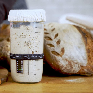 En vogue : Pot en verre de 42 oz pour la fermentation du levain, avec spatule, jetable, compatible lave-vaisselle et four, fournitures de pâtisserie - Product Image 4