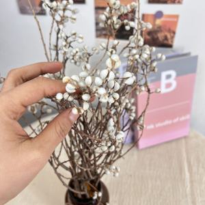 Venta Caliente de Frutos <span class=keywords><strong>Secos</strong></span> Naturales Preservados del Árbol de Sebo, Planta Decorativa, Ramo de Flores, Excoecaria Sebifera, Día de San Valentín - Product Image 3