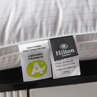 Oreiller personnalisé en duvet d'oie et plumes naturelles, hypoallergénique, écologique, couleur unie, pour hôtel et maison