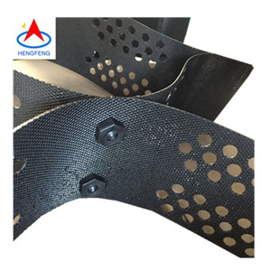 Đường Lái Xe Sỏi Nhựa Cỏ Paver Lưới Dốc Bảo Vệ Bãi Đậu Xe Đường Đất Ổn Định Geocell Giá - Product Image 4