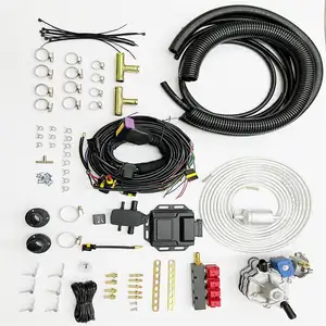 [LLANO]LPG gnv 4 6 8 Cylinder Converter Kits gnv gas equipment for auto natural gas fuel system small engine efi kit gnv