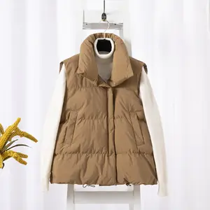 Korean version of new women's clothing with a small fragrance style stand up collar and sleeveless outer cotton vest