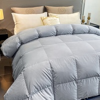 Fabrik preis Queen Size Enten feder Tröster Licht Warm Four Seasons Atmungsaktive Bett decken für Home Hotel Bettdecken Bettdecken