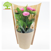 Sac en papier kraft compostable pour l'emballage de laitue hydroponique et de légumes fleur basilic emballage avec revêtement d'amidon
