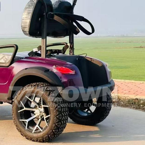 Carrito de golf eléctrico todoterreno elevado de 2 plazas con barra de luces LED para caza y patrullaje de propiedades - Product Image 6