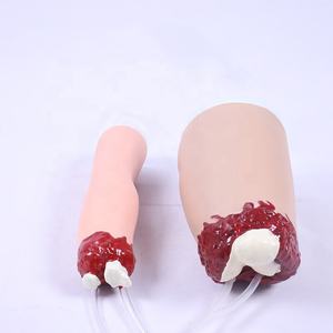 Modelo de Trauma de Extremidades Superiores e Inferiores, Maniquí para Control de Hemorragias, Brazo o Pierna Amputada, Modelo de Trauma, Modelo de Aplicación de Vendas para Hemorragias - Product Image 1