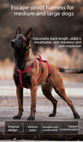 Harnais pour chien Gradient, anti-évasion et anti-traction, boucle sécurisée pour races moyennes et grandes, vente en gros en vrac