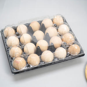 सी 20 छेद स्थिर टिकाऊ पालतू पालतू पालतू प्लास्टिक क्लैमशेल फफोले अंडे ट्रे को सुपरमार्केट फार्म के लिए कस्टम लोगो के साथ - Product Image 2