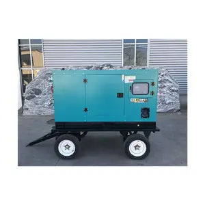 China Leverancier Duitsland Deu Tz Cum Mins Motor 40kva Dieselmotor 32kw Generator Set Borstelloze Dynamo