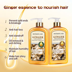 Wayward Hair Marque privée Vente en gros OIL-CONTROL Shampooing anti-démangeaison anti-chute de cheveux au gingembre pour cheveux - Product Image 6