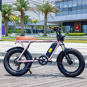Venta caliente Super Electric Bike 73 20 "x 4,0 Rueda Bicicleta Electrica 48V 500W 750W Motor EBike 14.4Ah Batería Fat Tire Ebike - Product Image 5