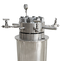 0.1L - 1L 200bar 300bar super haute pression haute température chauffage électrique supercritique pyrolyse réacteur de laboratoire