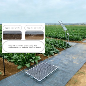 Malla Antihierbas Tejida de PP/PE <span class=keywords><strong>para</strong></span> Agricultura, Barrera de Control de Malezas, Rollo de Tela <span class=keywords><strong>para</strong></span> Paisajismo, Fabricación de Tela <span class=keywords><strong>para</strong></span> Mulching - Product Image 6