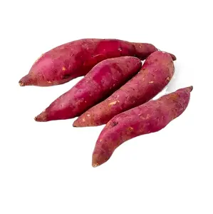 Top Fresh Purple Sweet Potato - Wholesale Price - Export From Vietnam to the world