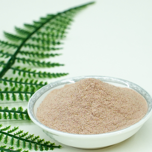 Producción Profesional de Polvo de Higo Natural Puro de Alta Calidad, Polvo de Fruta Liofilizado Orgánico - Product Image 2