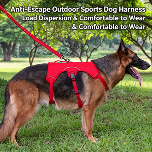 Correa de Tracción para Perros al por Mayor, Arnés de Pecho Antiescape para Perros Pequeños, Medianos y Grandes, para Paseos al Aire Libre - Product Image 5