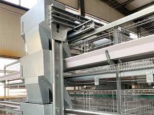 Tam otomatik galvanizli horoz kafesi tavuk çiftliği ekipmanları besleme sistemi hayvancılık tavuk kafesi tel makinesi Broiler yatıyordu - Product Image 5