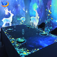 Promotion : Projecteur de mapping vidéo holographique 3D immersif pour intérieur, pour la projection de contenu et l'expérience culinaire dans les restaurants à thème