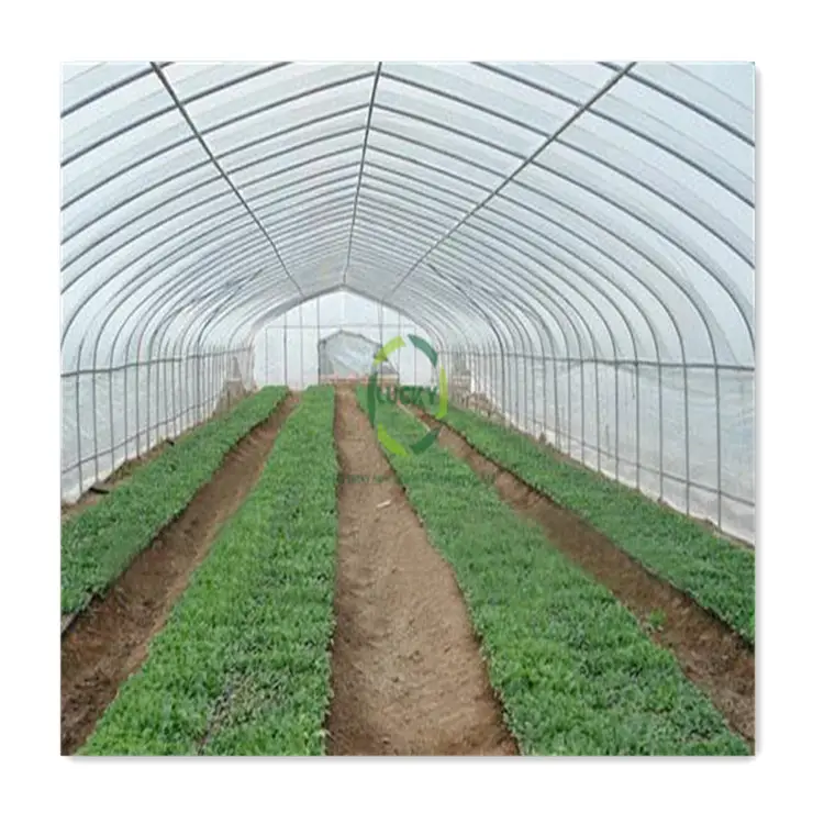 Kreş Metal çerçeve 30*100 kullanılan poli tünel açık bitki yetiştirme evi güneş yapısı soğutma pedi sera sebze için