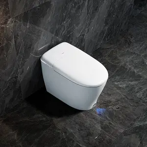 07M Toilet Otomatis dengan Pengering Udara Hangat Keramik Cerdas Mewah Wc Toilet Satu Potong Tiongkok