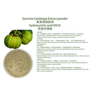 Extrait de Garcinia Cambogia en poudre 100% soluble dans l'eau en flacon/bocal en verre pour la santé et le bien-être - Product Image 1