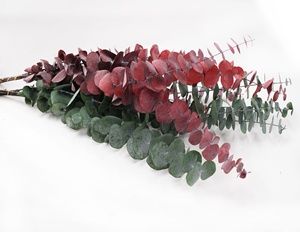 M034 boda flores secas bebé <span class=keywords><strong>azul</strong></span> verde rojo hojas de <span class=keywords><strong>eucalipto</strong></span> sucursales Real Natural secos conservas de <span class=keywords><strong>eucalipto</strong></span> - Product Image 3