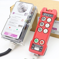Control Remoto Profesional Personalizado de 6 Botones y Una Sola Velocidad para Grúas, Instrucciones para Maquinaria de Elevación