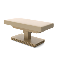Table de soin électrique réglable à colonne unique de style moderne CNF pour tatouage, esthétique et spa, idéale pour salon, en bois