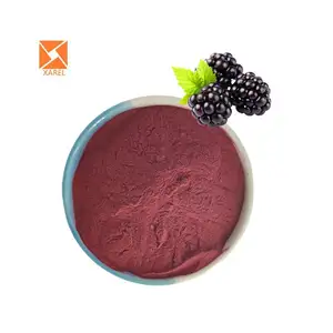 100% Natural Black Raspberry powder black raspberry juice for Free sample