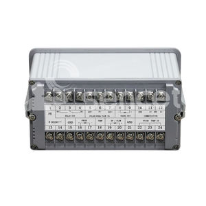 Totalizador de Caudal de Entrada Analógica de Fábrica China, Totalizador de Agua Reprogramable con Personalización OEM, Aire Medio - Product Image 6