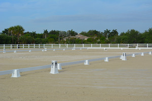 馬場馬術アリーナ,馬場馬術アリーナ,卸売20m * 60m馬場馬術アリーナ - Product Image 5