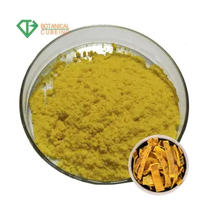 Tự nhiên Tinh Khiết Phellodendron Amurense Chiết Xuất Berberine hcl Coptis Chiết Xuất Từ Rễ